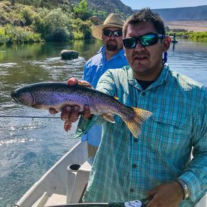 Meet your Posher, Bruce